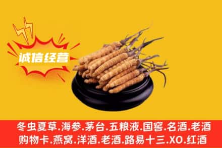 临沂费县回收冬虫夏草